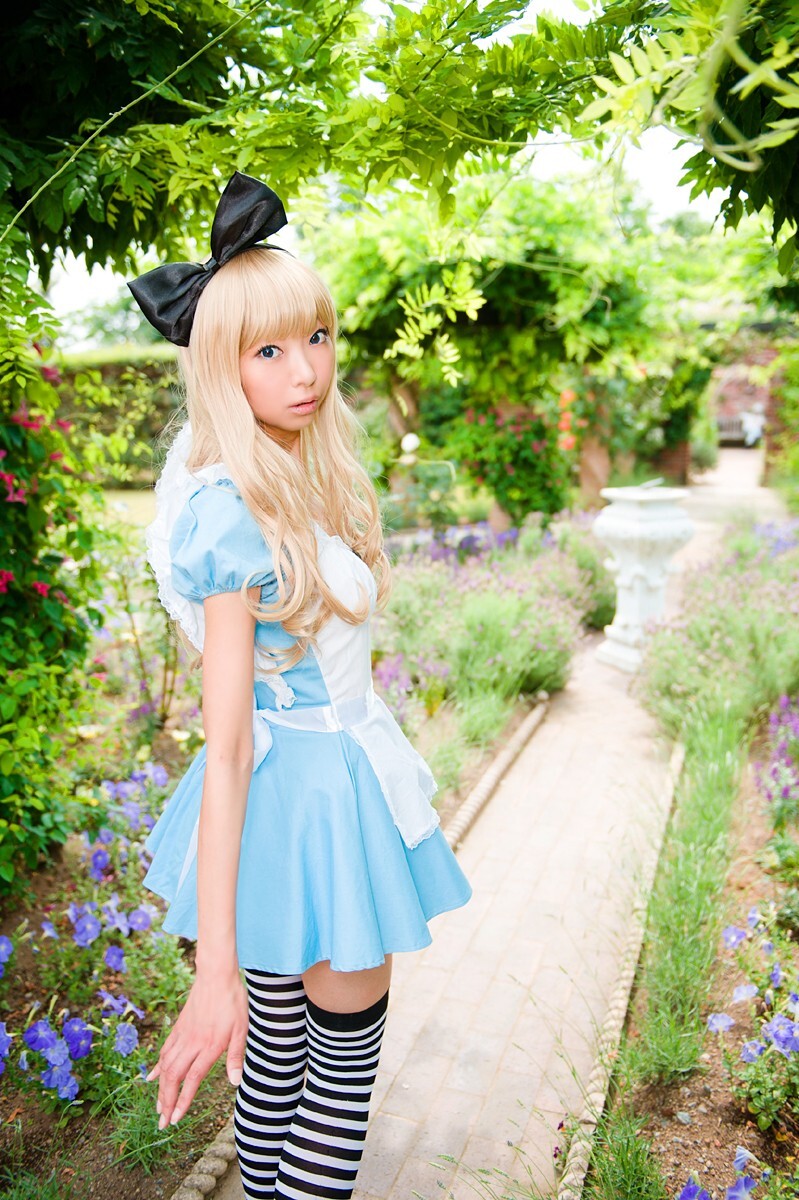 [Cosplay] 2013.03.20 Alice in Wonderland by Necoco