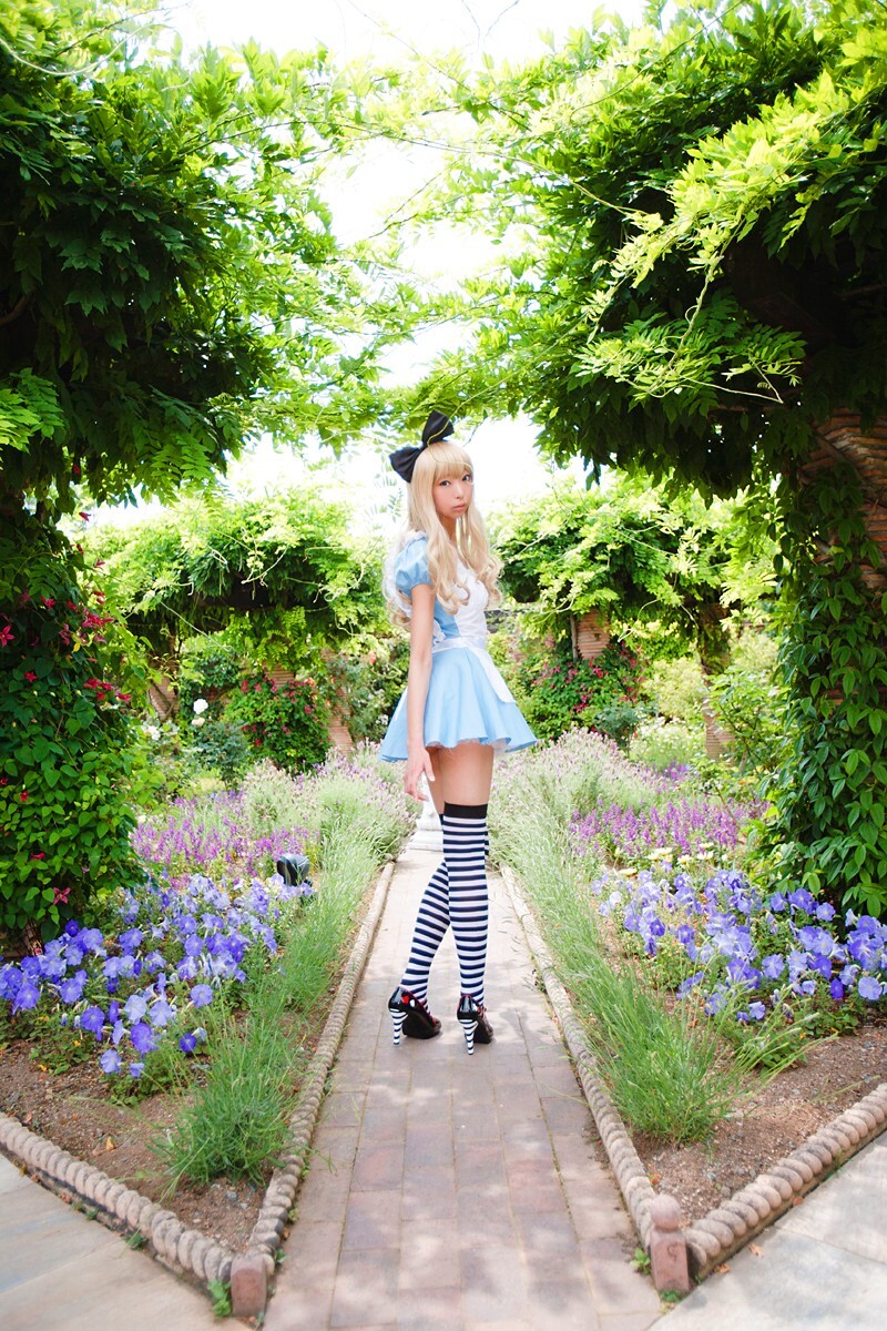 [Cosplay] 2013.03.20 Alice in Wonderland by Necoco