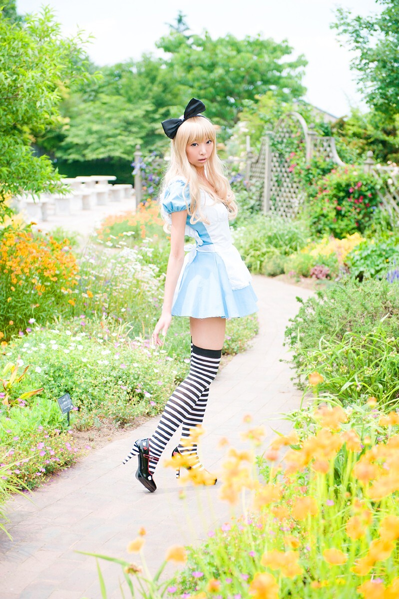 [Cosplay] 2013.03.20 Alice in Wonderland by Necoco