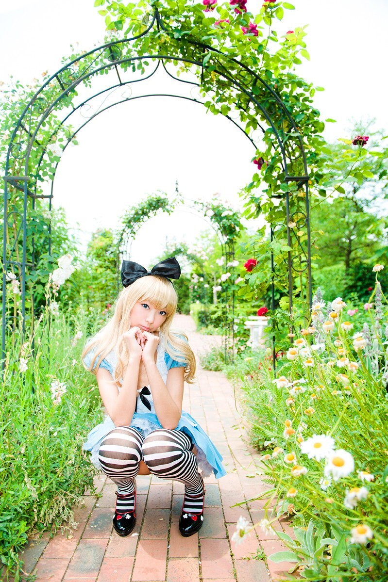 [Cosplay] 2013.03.20 Alice in Wonderland by Necoco