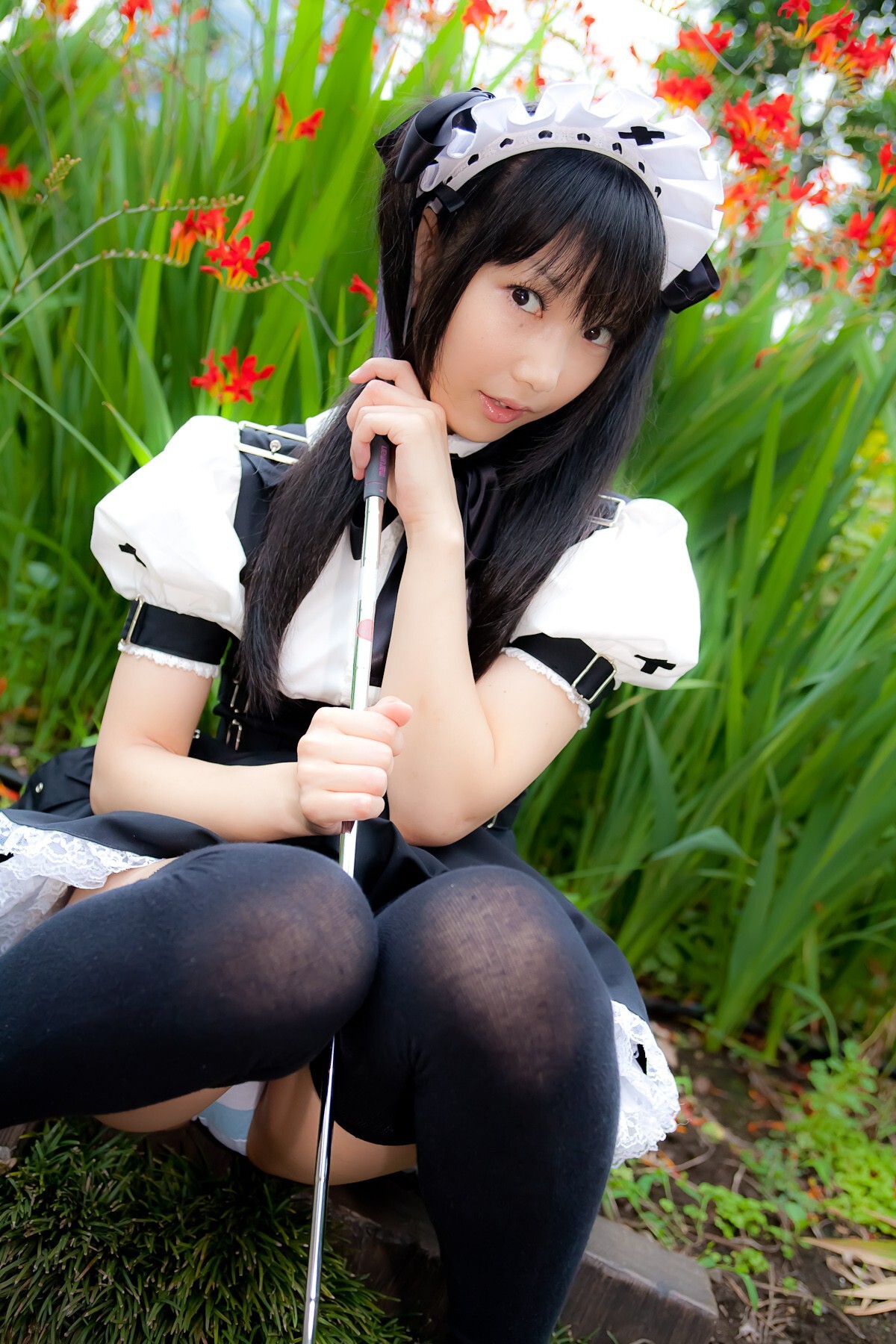 Cosplay uniform beauty lotus - Coser Collection 8 C78 - Outdoor stockings