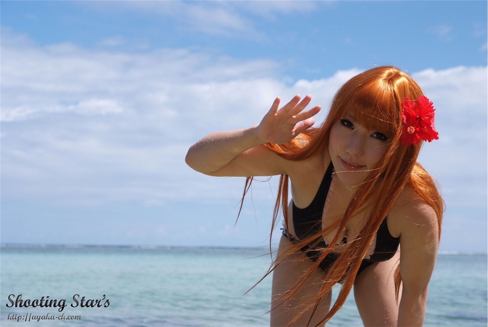 比尼写真 [Cosplay] Dead Or Alive