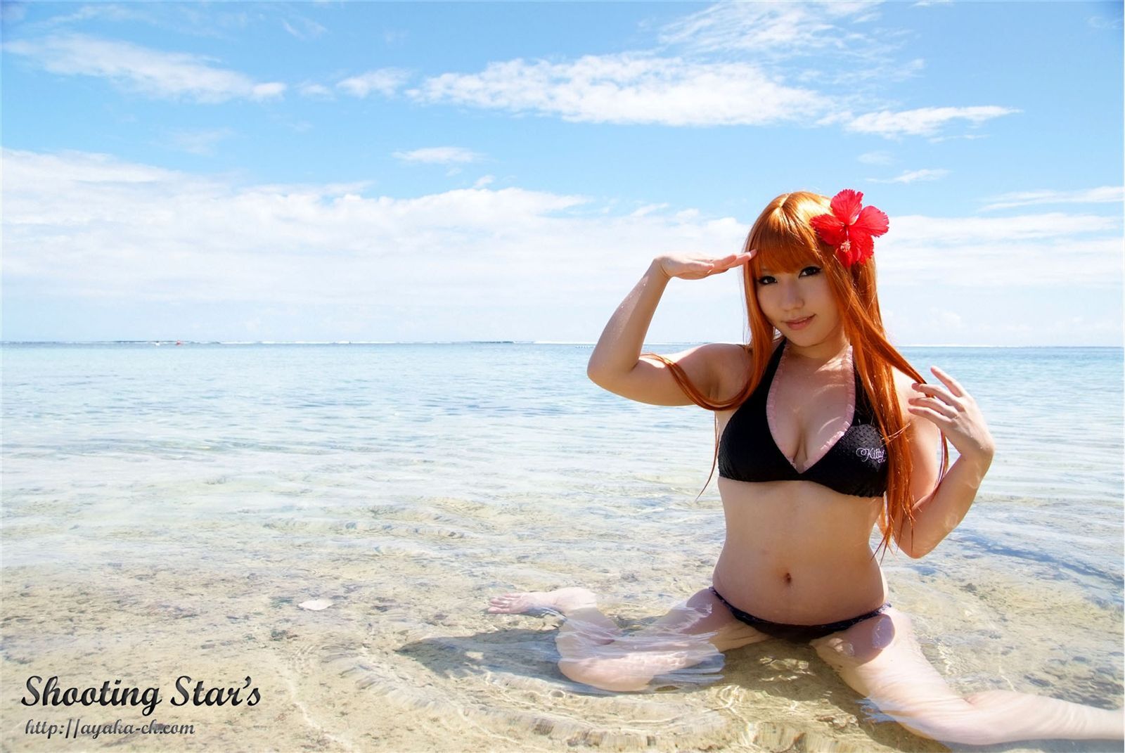 比尼写真 [Cosplay] Dead Or Alive