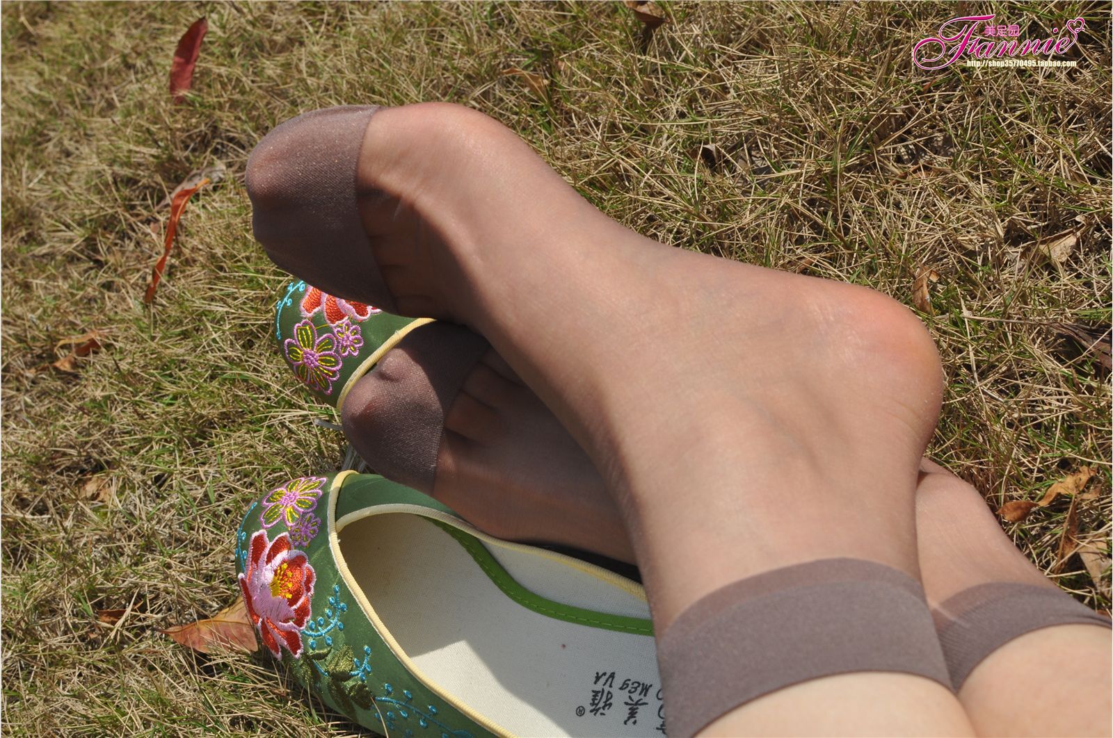 Fannie Fanny high definition original picture touch sunshine (embroidered shoes grey silk) no.087