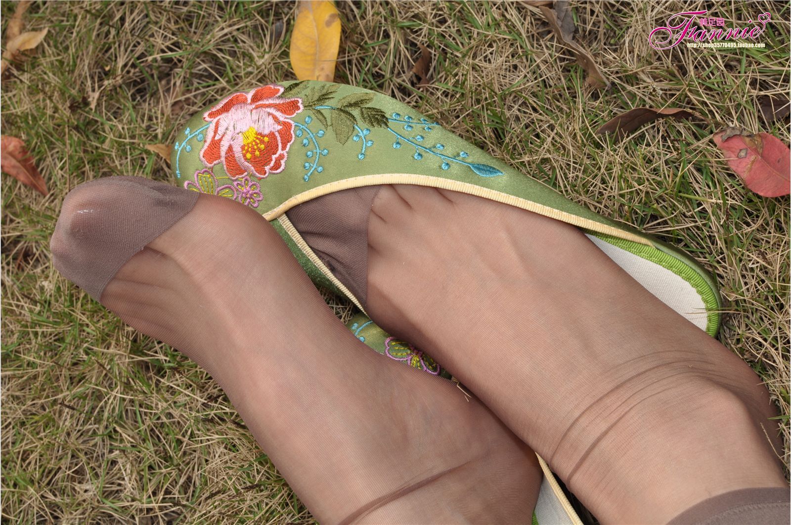 Fannie Fanny high definition original picture touch sunshine (embroidered shoes grey silk) no.087