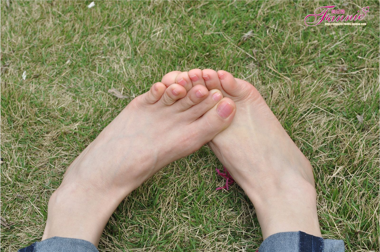 Fanny's feet: willow and spring