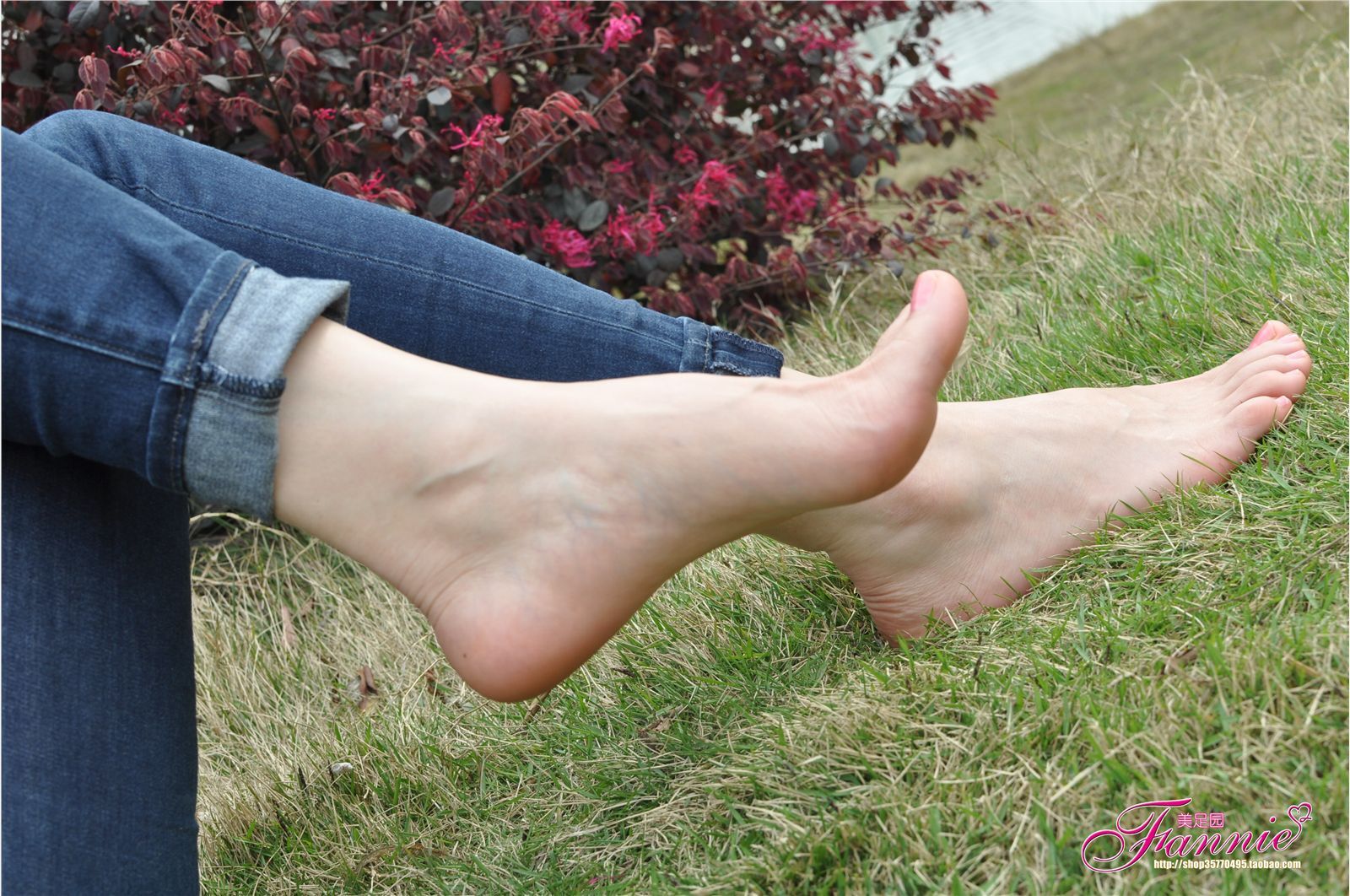 Fanny's feet: willow and spring