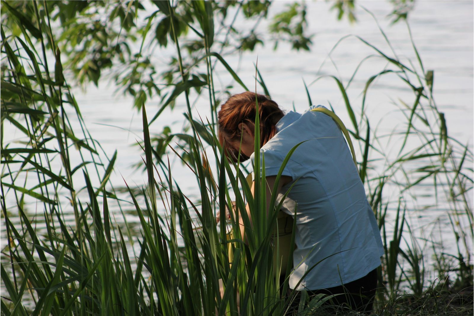 [online collection] a very pure sister photographed on August 31, 2013