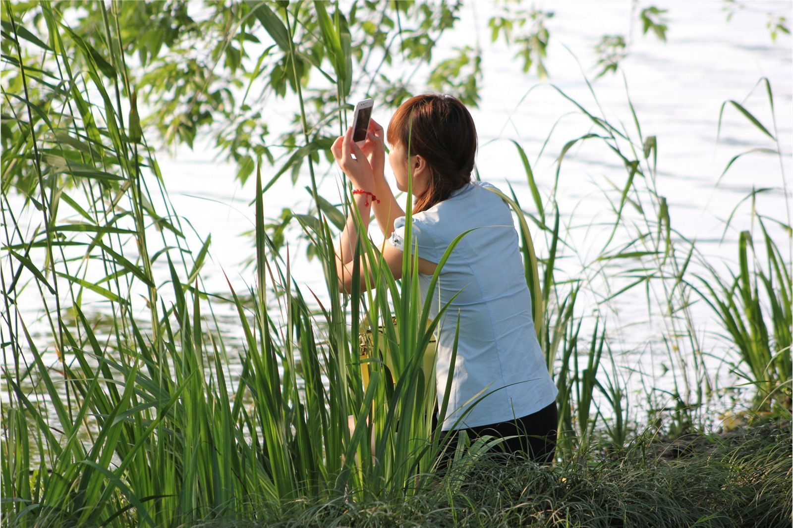 [online collection] a very pure sister photographed on August 31, 2013