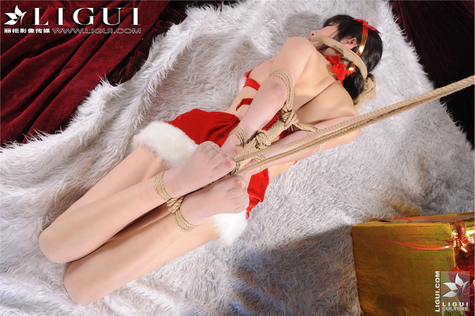 [Li cabinet] [02-09] VIP Collection - tight phantom model - quiet silk stockings beauty picture