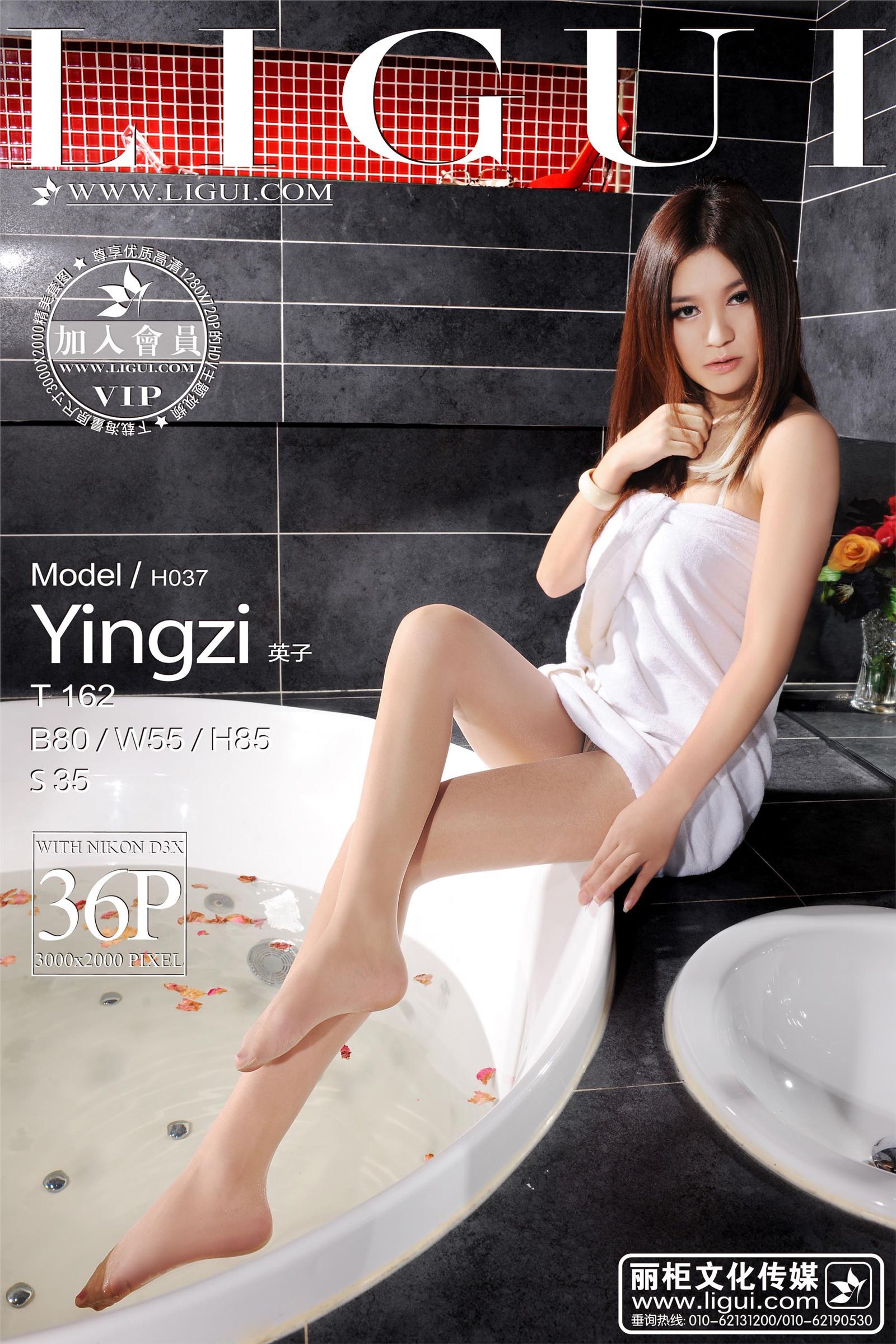 [cabinet] 2013.04.07 alternative vision model yingzi