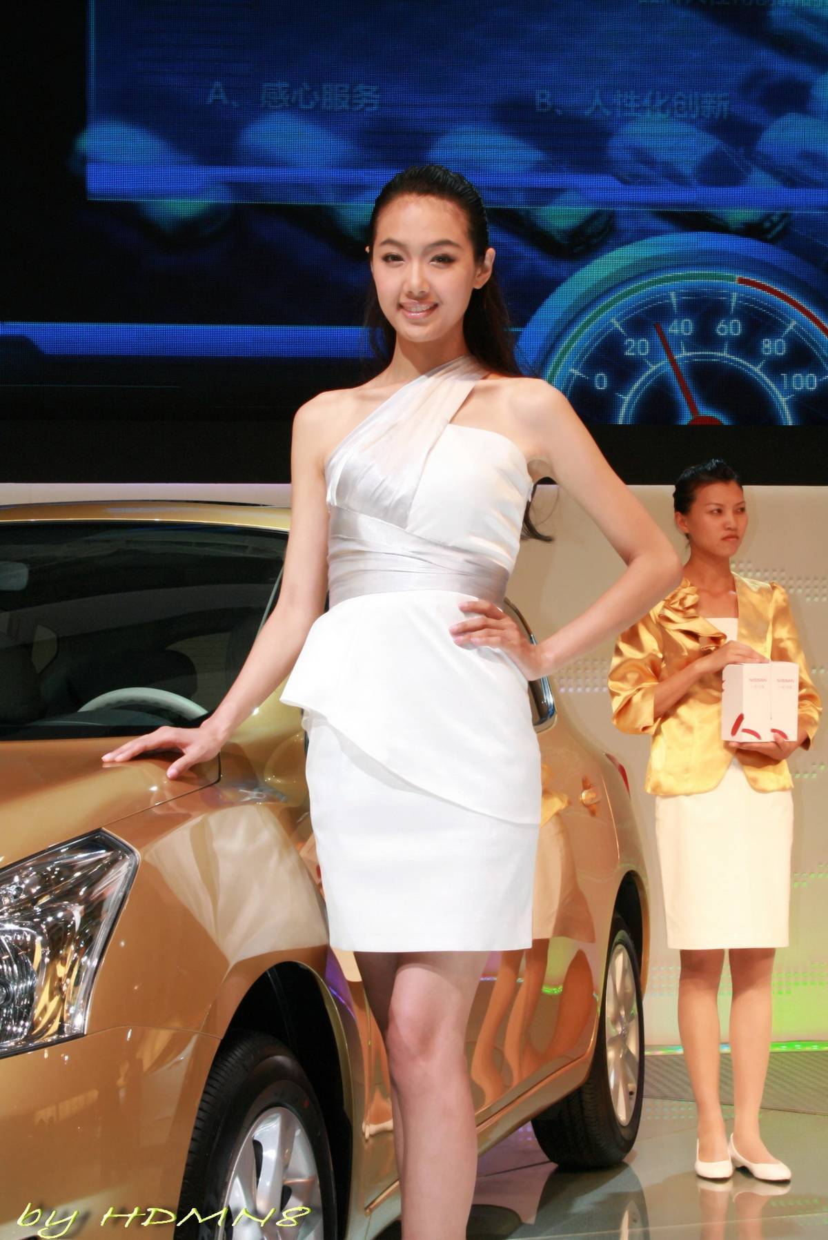 2011 Haixi Auto Expo beautiful car model