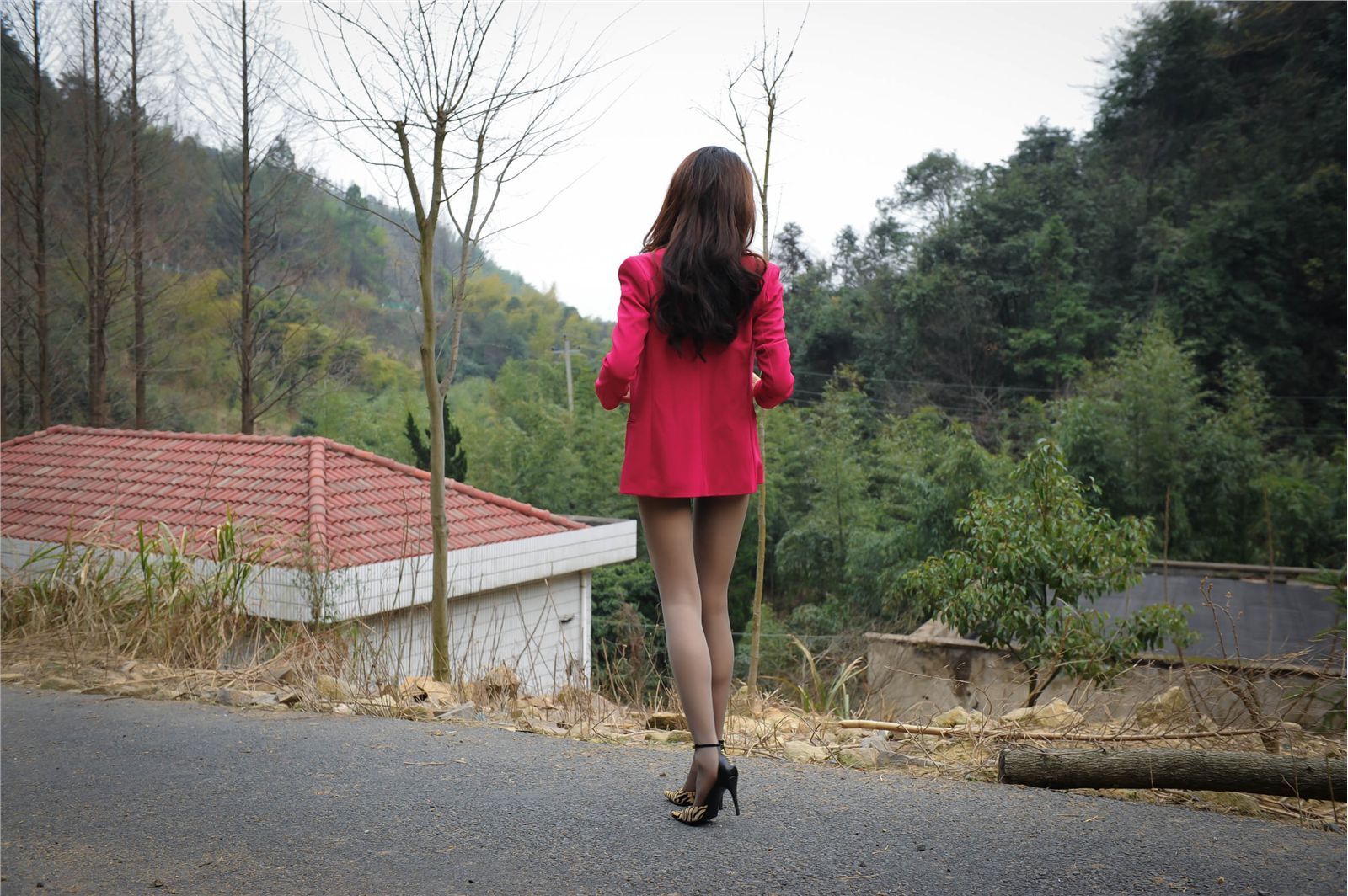 [silk dance VIP] no.546 - green mountain, red rose, suit! silk stockings!