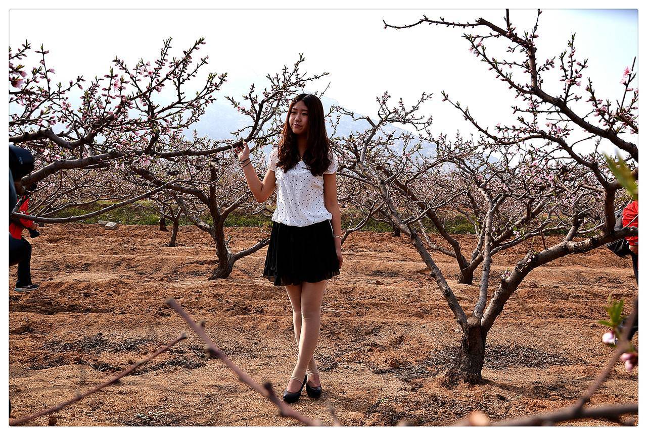 [online collection] on September 15, 2013, peach blossom still smiles, silk stockings are the highlight