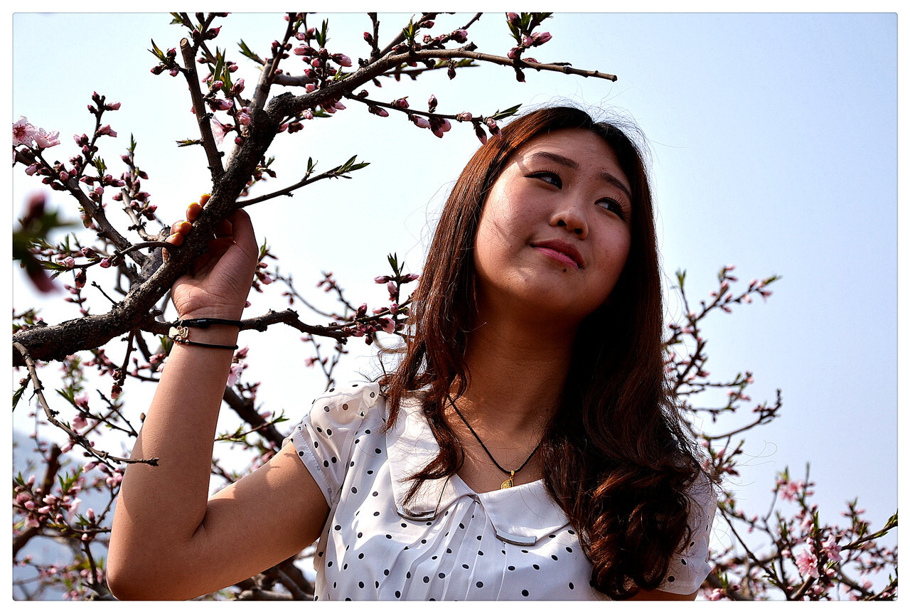 [online collection] on September 15, 2013, peach blossom still smiles, silk stockings are the highlight