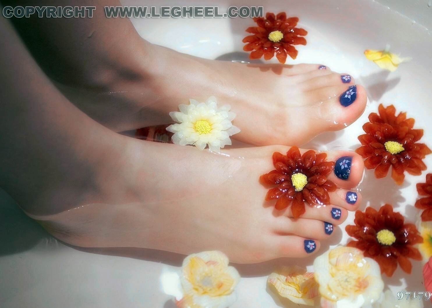 Beautiful feet series 2 high definition pictures