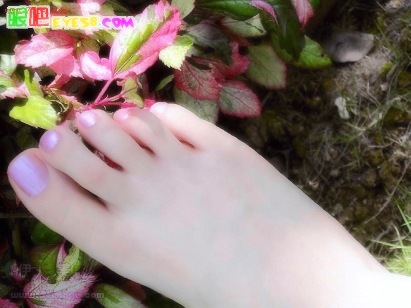 Beautiful feet series 3 high definition pictures