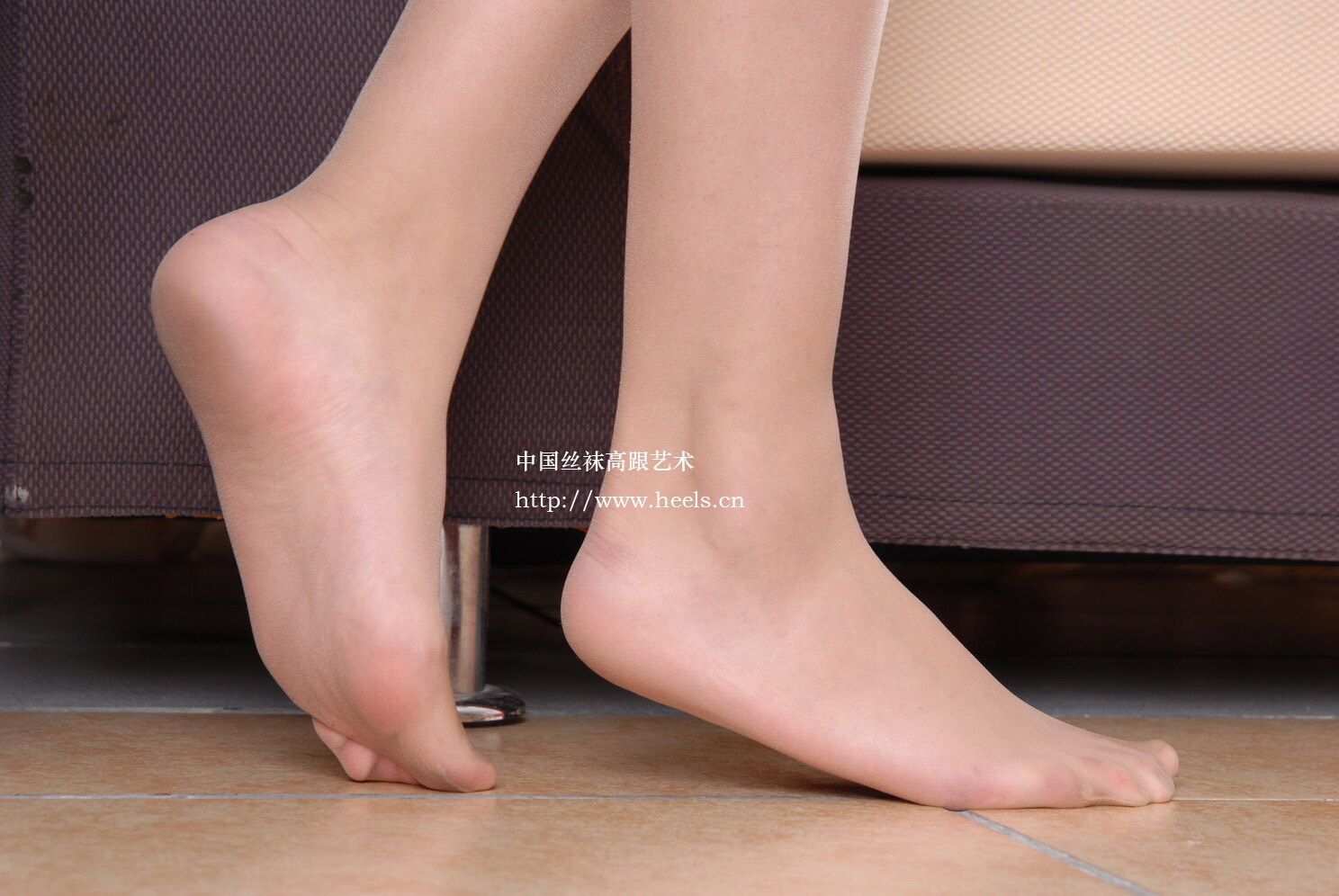 Zhonggaoyi member picture [2008-11-12] Chinese silk stockings leg sexy model